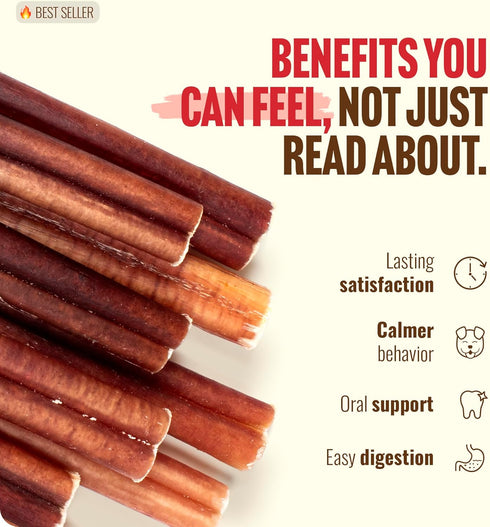 (4, 16oz) 100% Natural Farm Odor-Free Bully Sticks All-Natural Long-Lasting Chews, Beef Pizzle, Grass-Fed, Grain-Free