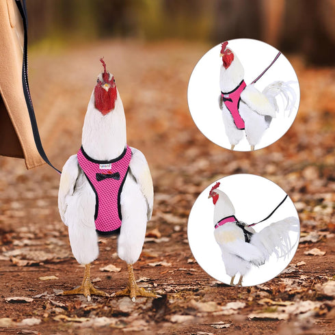 Chicken Harness Hen Size with 6ft Matching Leash - Adjustable, Comfortable, Breathable, Pink