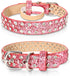 Rhinestone Leather Dog Collar - Bling Collars for Small Medium Large Dogs - Soft Microfiber Leather with Adjustable