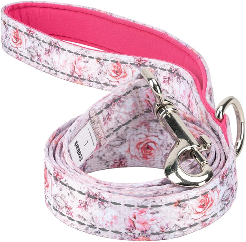 EcoBark Dog Leash, 4 FT / 5 FT / 6 FT Reflective with Padded Handle, Strong Heavy Duty Nylon for Small Medium Dogs