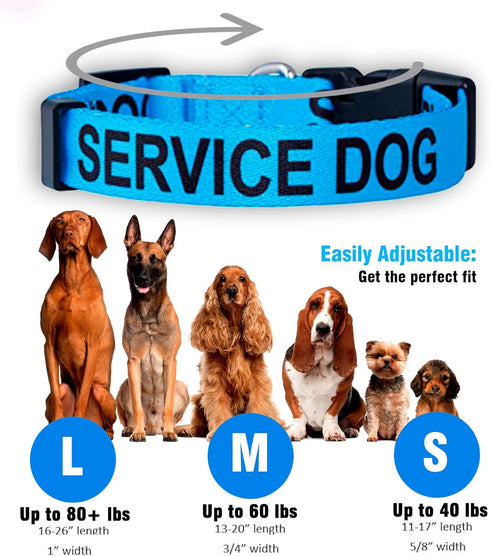 Native Pup Service Dog Collars, Medium Size in Blue