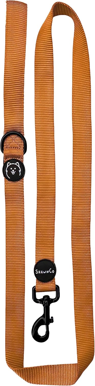 ShawnCo Dream Walk Dog Leash, Premium Nylon Pet Leash with Soft Neoprene Handle, Sunset Orange