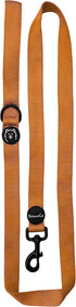 ShawnCo Dream Walk Dog Leash, Premium Nylon Pet Leash with Soft Neoprene Handle, Sunset Orange
