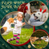 24 Pcs Christmas Dog Rope Toys, Interactive Chew Toys for Small Medium Large Dogs, Classic Style