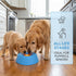 (2pcs) Slow Feeder Dog Bowls for Liquid Treat, Interactive Lick Bowl Anti-Slip Slow Feeder for Wet Food, Anti-Slip Bone