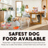 96% Nature's Diet Ready Raw : Freeze-Dried Raw Dog Food, Chicken, Human Grade, High Pressure Pasteurized (HPP), Meat