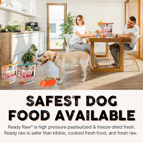 96% Nature's Diet Ready Raw Freeze-Dried Raw Dog Food, Beef, Human Grade, High Pressure Pasteurized (HPP), Meat, Organ
