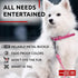 WAUDOG Ultra Soft Rolled Leather Dog Collar for Small Medium Large Dogs - Soft Padded Collars for Male and Female
