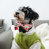 Maca Bates Easter Egg Dog Collar, Cute Adjustable Bow Tie Designer Collars for Small Medium Large Puppies with Metal