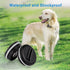 LP RFA-67 6 Volt Replacement Battery for PetSafe PIF-300 RF300 PIF-275-19 PRF-3004W PUL-250 Collar Batteries