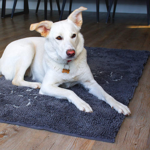 Dog Gone Smart Dirty Dog Microfiber Paw Doormat - Super Absorbent Muddy Mats for Dogs, Machine Washable, Small Mist Grey