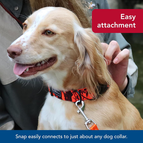 Water & Woods Nylon Dog Check Cord by Coastal Pet, Durable Training Leash, Safety Orange, 5/8" x 25'