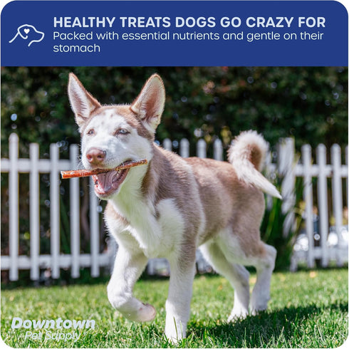 Downtown Pet Supply USA-Made Bully Sticks for Dogs (6", 15-Pack) - Rawhide Free, Long Lasting Chews