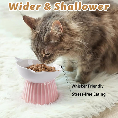 Ceramic Raised Cat Bowl, Tilted Anti Vomit Feeder for Indoor Cats, Microwave & Dishwasher Safe