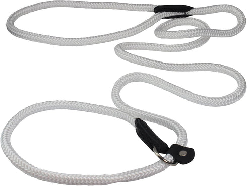 Dogs My Love Nylon Rope Slip Dog Lead Collar and Leash British Style 4ft Long (Small: 1/4" (6mm), White)