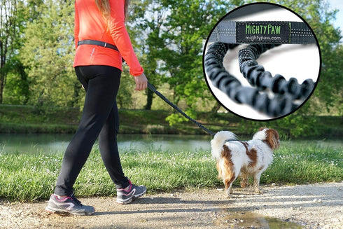 Mighty Paw Hands Free Dog Leash | Bungee Waist Leash for Dog Walking, Pet Waist Belt (36" - 48") - Gray, Up to 150 lbs