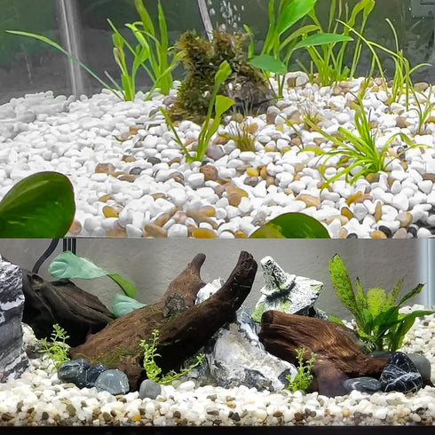 White River Rocks for Plants, 5.5 LB Small Decorative Pebbles, Smooth Aquarium Gravel for Indoor and Outdoor