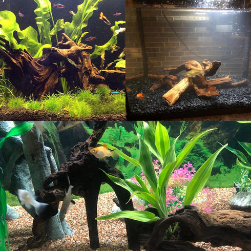 Tfwadmx Natural Driftwood Aquarium Decor Wood Branches 7-9.5" Fish Tank Decoration Reptile Habitat Assorted Trunk Terrarium Ornament(3 Pcs)
