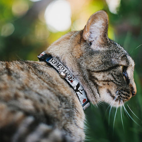 Buckle-Down Cat Collar Breakaway Team Vampire, 8 to 12 Inches, 0.5 Inch Wide