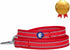 Blueberry Pet Essentials Reflective Back to Basics Dog Leash, Rouge Red, 5 ft x 3/4", Medium, Leashes for Dogs