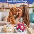Dog Toys Soccer Ball with Straps - Interactive Balls for Tug of War and Yard Games, Herding Ball for Small Dogs, Pet
