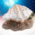 Aquarium Decoration, Fish Tank Simulation Resin Shell Pearl Bubbler Decor, Coral Reefs Aerating Action Ornament