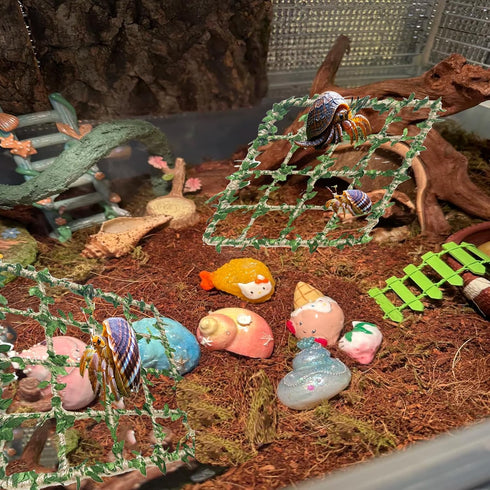Delllala SetHermit Hermit Crab Climbing Toys Crab Habitat Tank Accessories,Also for Small Lizard Chameleon Leopard