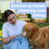 Pupford Thick Bully Sticks for Dogs & Puppies - Smoked, Natural, 6", 4 Count, Long-Lasting Chews