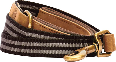 Blueberry Pet 6 ft x 3/4" Polyester Fabric Webbing and Soft Genuine Leather Dog Leash, Chocolate and Taupe
