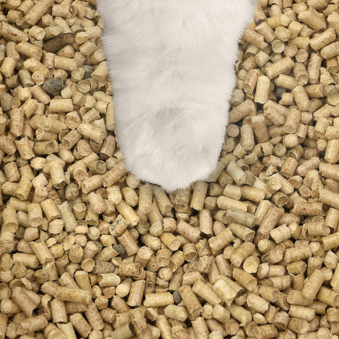 Casual Home 100% Natural Pine Wood Non-Clumping Cat Litter Pellets