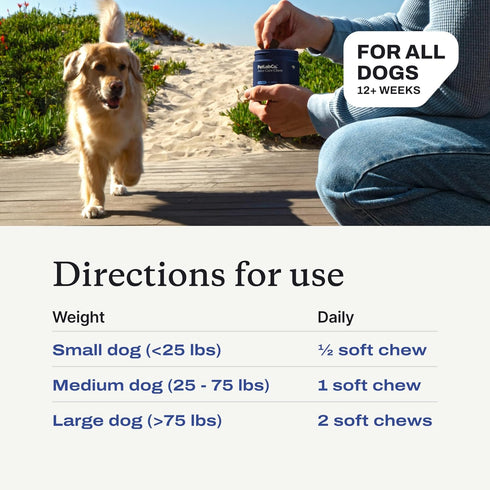 Petlab Co. Joint Care Chews for Dogs, High Levels of Glucosamine, Omega 3 and Turmeric Supplement