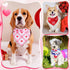 72 Packs Reginary Valentines Day Dog Bandanas Heart Adjustable Pet Bandanas Triangle Scarf Dog Bibs for Pet Costume