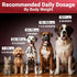 Immune WuffWell Turkey Tail Mushroom Supplement for Dogs - Support Mushrooms - Dog Mushroom Supplements for Health