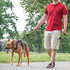 Mile High Life Comfortable Padded Handle Dog Leash - Heavy Duty 4 Feet Mountain Climbing Rope Leash