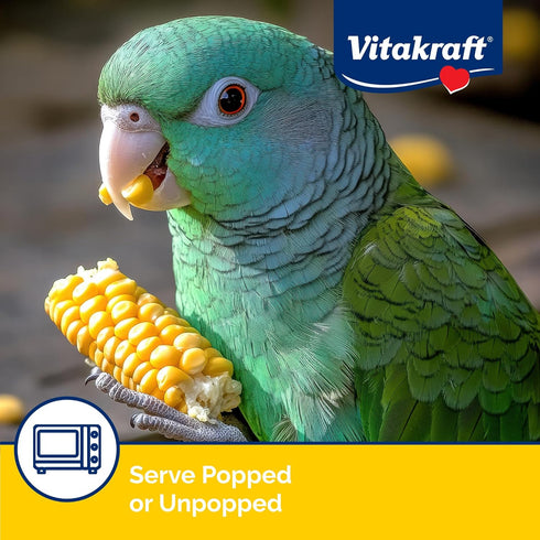 Vitakraft Mini-Pop Corn Cob Bird Treat, 6 Ounce, Pack of 1