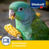 Vitakraft Mini-Pop Corn Cob Bird Treat, 6 Ounce, Pack of 1