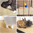 16 12 Inch 1Pc) Rabbit Scratching Pad, x Natural Sisal Bunny Scratch Mat Scratcher Mats Claws and Teeth Care for Biting