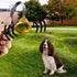 Flylin 2Pcs Housebreaking/Housetraining Metal Dog Doorbell, Shopkeepers Doggy Training Bell Wall Mounted for Home
