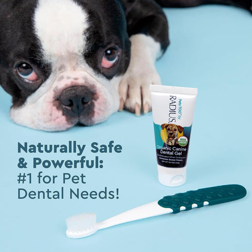 RADIUS USDA Organic Dental Solutions Puppy Kit - 1 Unit with Dog Toothbrush & Non Toxic Toothpaste