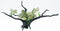 Penn-Plax Green Leaf Driftwood Plant - for Aquariums and Terrarium Décor by Penn-Plax