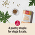 The Honest Kitchen Perfect Form Herbal Digestive Supplement for Dogs & Cats, 3.2 Ounces, Human Grade