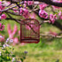 PRETYZOOM Vintage Pet Cage, Garden Insert Shelter, Hanging Cage for Hamster Habitat, Wooden Metal Container
