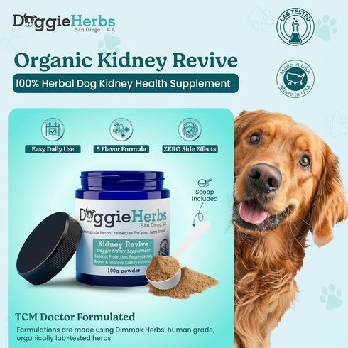 TCM Organic Kidney Support & Renal Health- Rehmannia & Cordyceps Powder- Doctor Formulated Tonic for Bladder Health