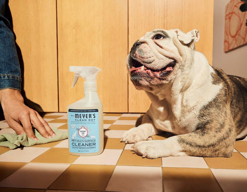 16oz Mrs. MEYER'S CLEAN DAY Pet Multi-Surface Cleaner, Coconut Leaf Scent