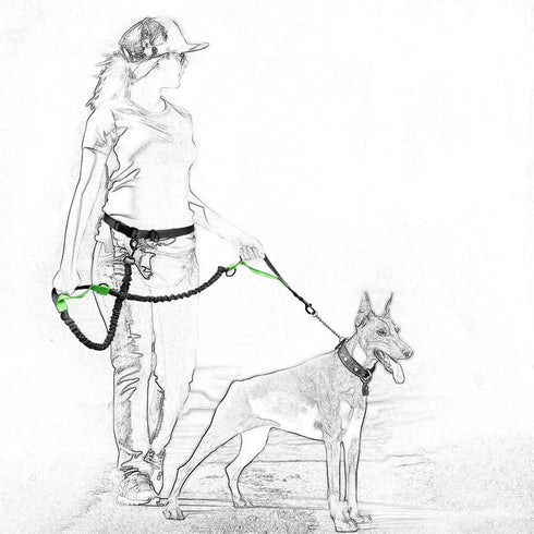 Mile High Life Retractable Hands Free Dog 7FT Leash, Adjustable Waist Running Leash for Small Medium Large Dogs (Blue)