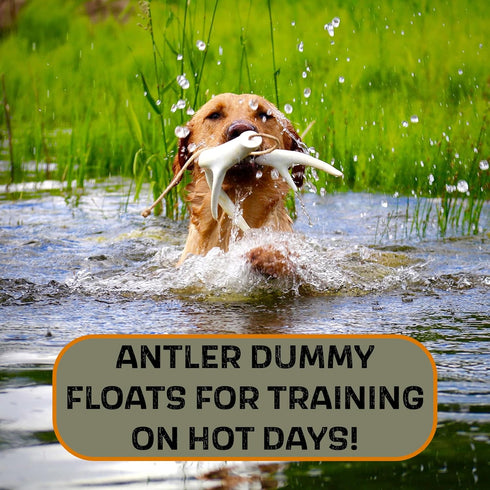 DogBone Shed Dog Training System, Hunting Dog Accessories, Training Kit, Scent Training Tools for Dogs