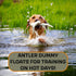 DogBone Shed Dog Training System, Hunting Dog Accessories, Training Kit, Scent Training Tools for Dogs