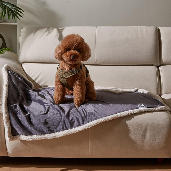 Puppy Blanket, Super Soft Sherpa Dog Blankets and Throws, Cat Fleece Sleeping Mat for Small Animals 45x30 Grey