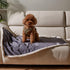 Puppy Blanket, Super Soft Sherpa Dog Blankets and Throws, Cat Fleece Sleeping Mat for Small Animals 45x30 Grey