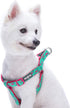 Blueberry Pet Essentials Step-in Dog Harness, Pink Flamingo on Light Emerald, Chest Girth 20"-26"